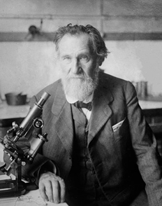 Mechnikov Fig 9