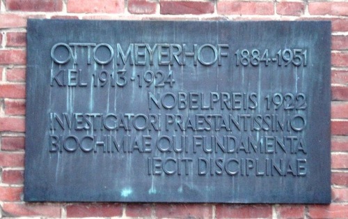 Meyerhof Plaque